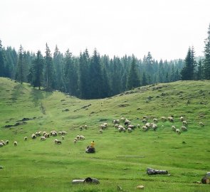 Bihor Mountains in Romania