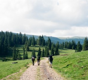 Vladeasa Mountains in Romania