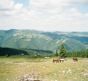 Vladeasa Mountains in Romania