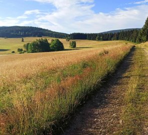 Zaniklá osada Hraničky v Rychlebských horách