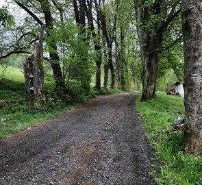 1. den - Železná ruda > Hůrka - nástup na zelenou značku kousek za Železnonu Rudou