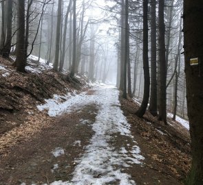 Na žluté značce kousek za sjezdovkou Kasnárna