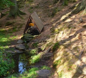 Studánka kousek za infocentrem Boubínského pralesa