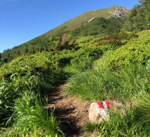 The route along the ridge to the top of Grosser Hengs 2 159 m above sea level.