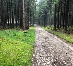 The way from Ostružna along the green trail to Paprsek