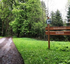 1. den - Železná ruda > Hůrka - vstupuji do Národního parku Šumava