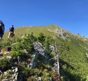 Horská pěšina po hřebeni na vrchol Grosser Hengs 2 159 m n. m.