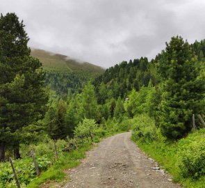 Šotolinová cesta kousek za Schwarzsee