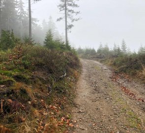 The way from Ostružna along the green trail to Paprsek