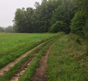 Polní cesta na zelené zančce pod Zeleným vrchem