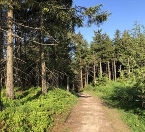 On the red marker towards the Severka cottage