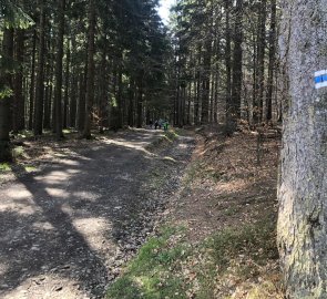 Wide forest path on the blue trail towards Bílý Kříž