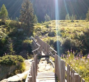 Footbridge over a mountain stream