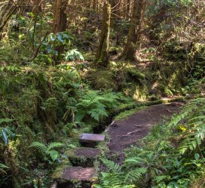 Akvadukt (vodní systém) Levada při sestupu od kaldery na azorském ostrově Faial