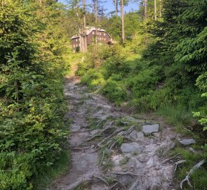 The tourist cottage Severka is located just below the eponymous peak Severka 957 m above sea level.