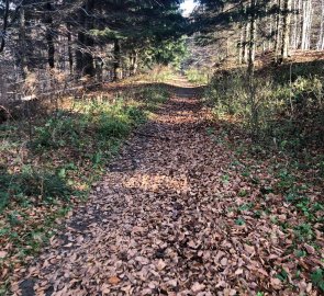 On the way to Lysá hora along the yellow trail