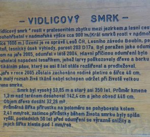 Informační tabule Vidlicového smrku