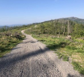 The path along the red trail from Severka to the Tetřev lookout tower