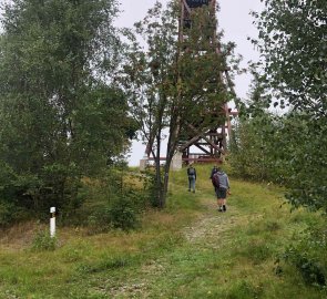 Lesní pěšina na modré značce směrem k rozhledně Na Skalce