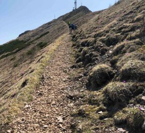 Top of Polster with transmitter