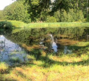 Pond Radvancec on the blue