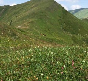 Day 2 - Borjomi main ridge