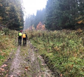 Po žluté turistické značce z Velkého Vrbna směrem do Branné