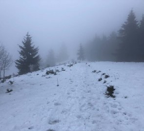 Červená turistická značka ze sedla Gežov na Velký Javorník