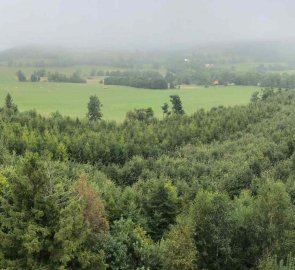 View from the lookout tower Na Skalce in the Golden Mountains