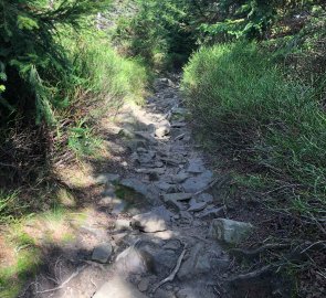 On the way to Lysá hora along the yellow trail - just below the peak