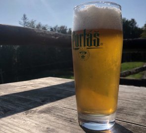 Well-deserved beer in the mountain hut Vsacky Cáb