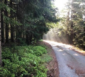 2. den - Hůrka > Modrava - stále po žluté směr Prášily