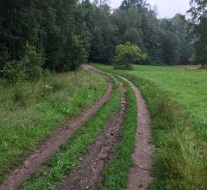 Zpáteční cesta Cvikovského okruhu