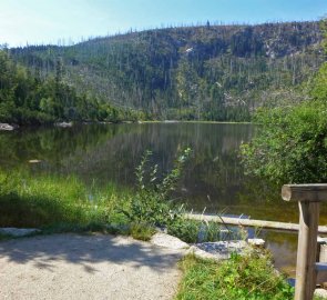 Plešné jezero v národním parku Šumava