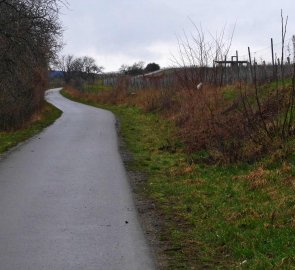 Asfaltová cesta vinicemi Dolních Kounic