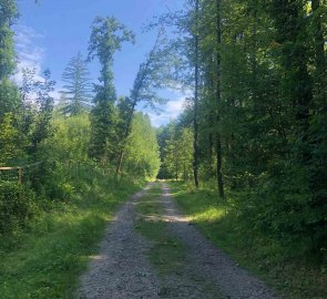 On the nature trail towards the Jan Žižka monument