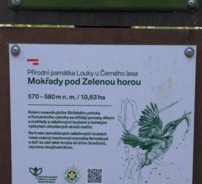 Mokřady pod Zelenou horou - informační tabule