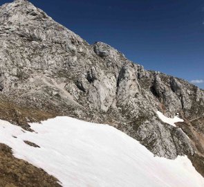 Snow fields