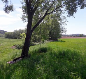 Lavečka s houpačkou na konci Rybníčků u mokřav