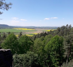 Vyhlídka na kopec Bezděz a žluté štěstí - hit letošního jara