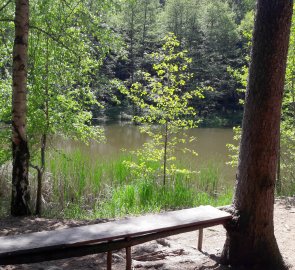 Rybník Vustra u Studánky sv. Marie