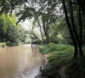 Brod byl dobře značen, ale dá se přejít i v jiných místech