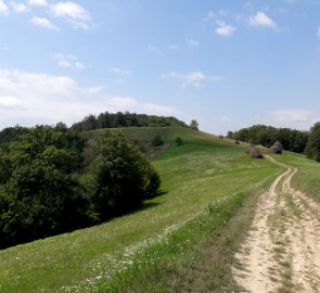 Na mapě značený turistický přístřešek