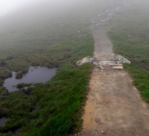 Pod vrcholem vede cesta mezi mokřinami