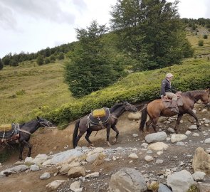 I transport supplies and horses to some campsites