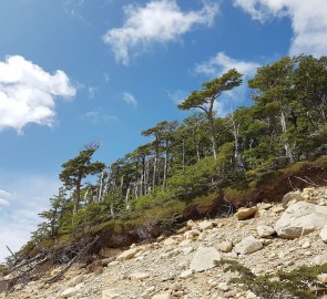 Landscape in Torres del Paine Park