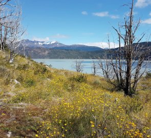 Krajina v parku Torres del Paine