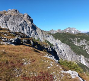 Above the tree line