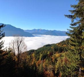 Fog over Admont