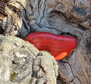 A stone with a message